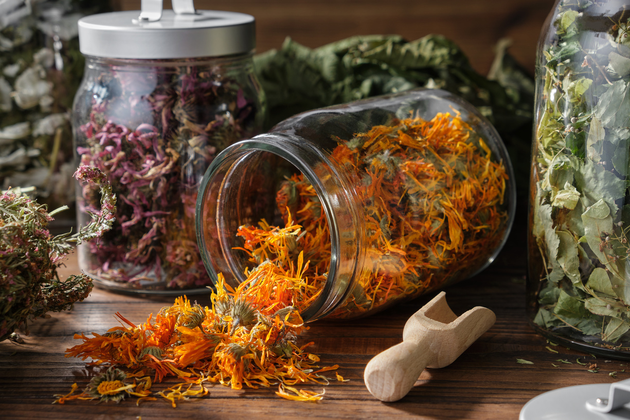 Glass Jar of Dry Calendula Flowers for Making Herbal Tea