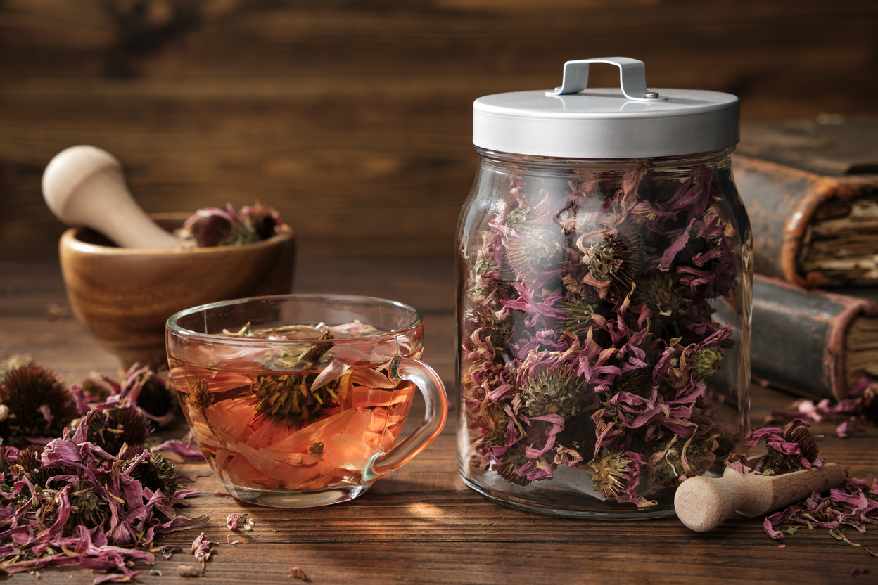 Echinacea Tea and a Jar of Dry Coneflower Herbs